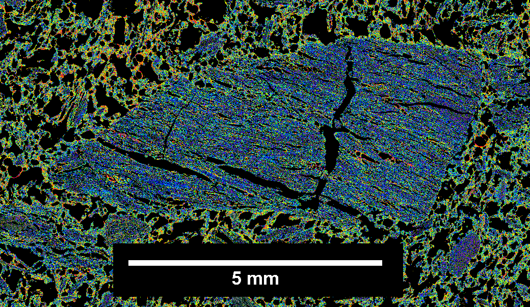 Coal vitrinite | Search Results | Pearson Coal Petrography - We